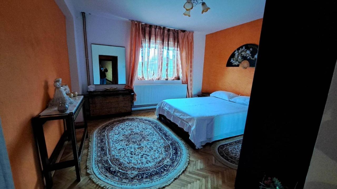 Pensiunea Burciu Salcioara  ภายนอก รูปภาพ